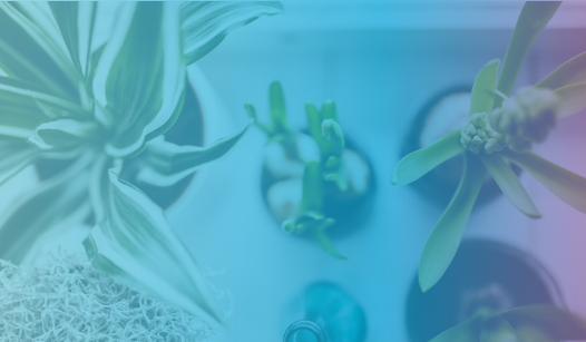 HubSpot Growth Suite Overview