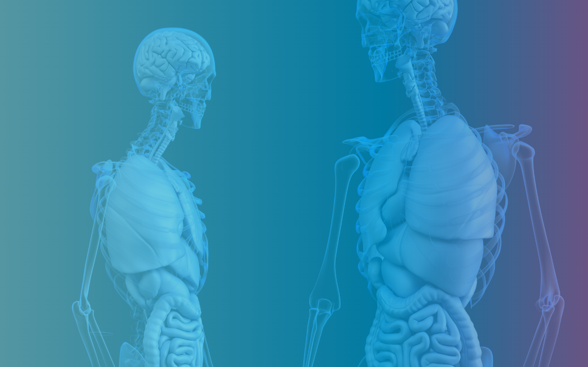 The Anatomy of Multichannel Marketing Campaign